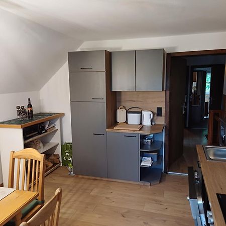 Appartement Steiner Schladming Extérieur photo