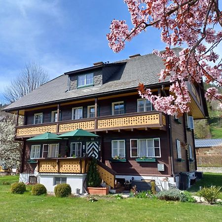 Appartement Steiner Schladming Extérieur photo