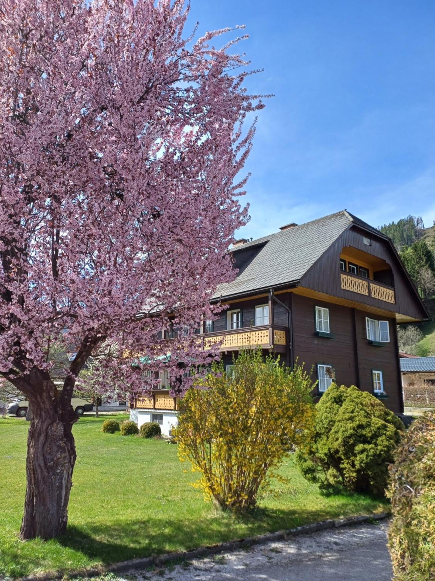 Appartement Steiner Schladming Extérieur photo