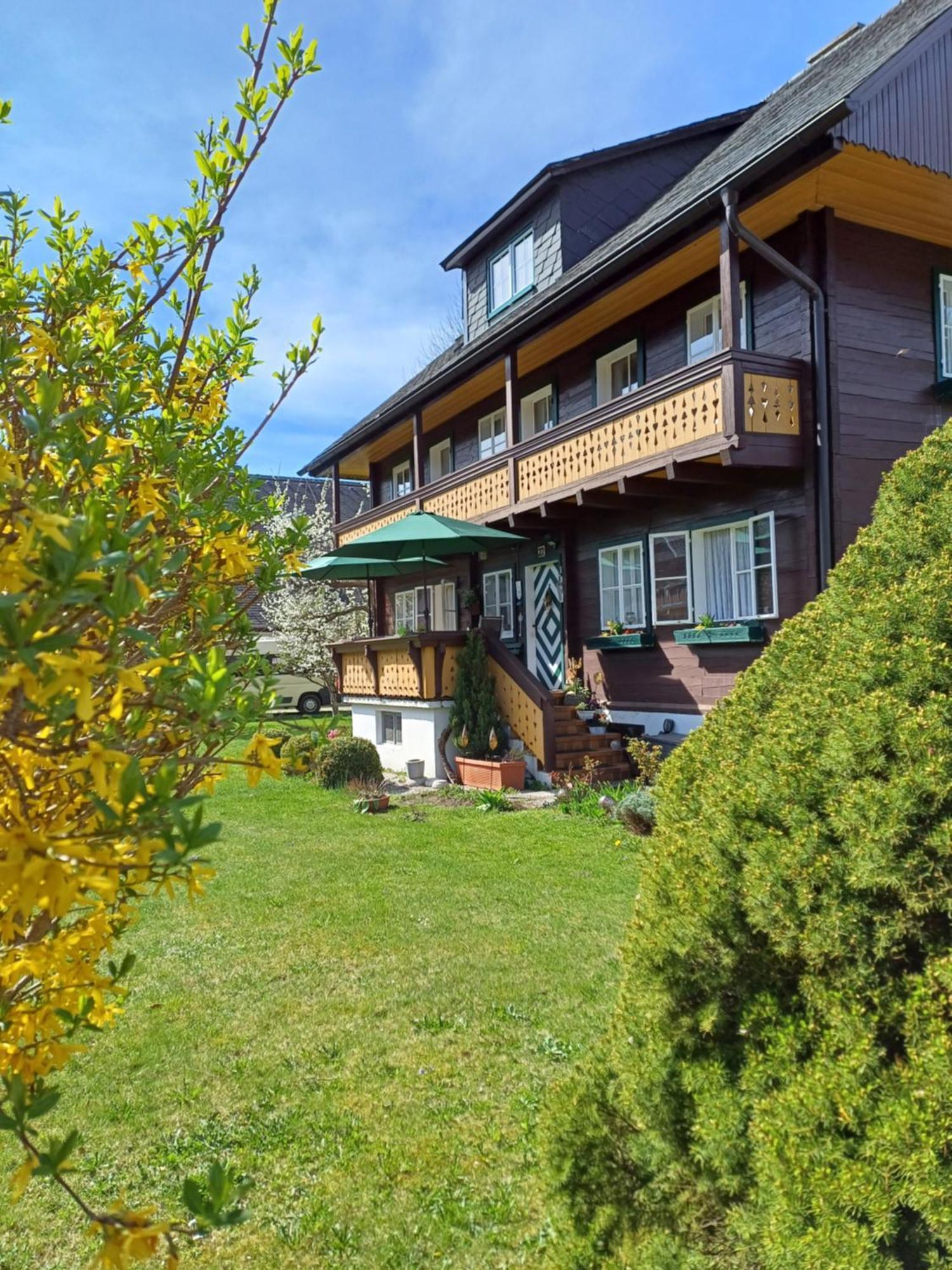 Appartement Steiner Schladming Extérieur photo
